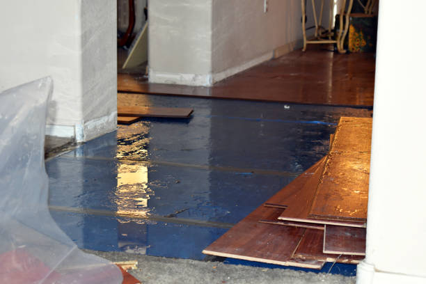 Professional Burst Pipe Cleanup technician working in South Barre, MA